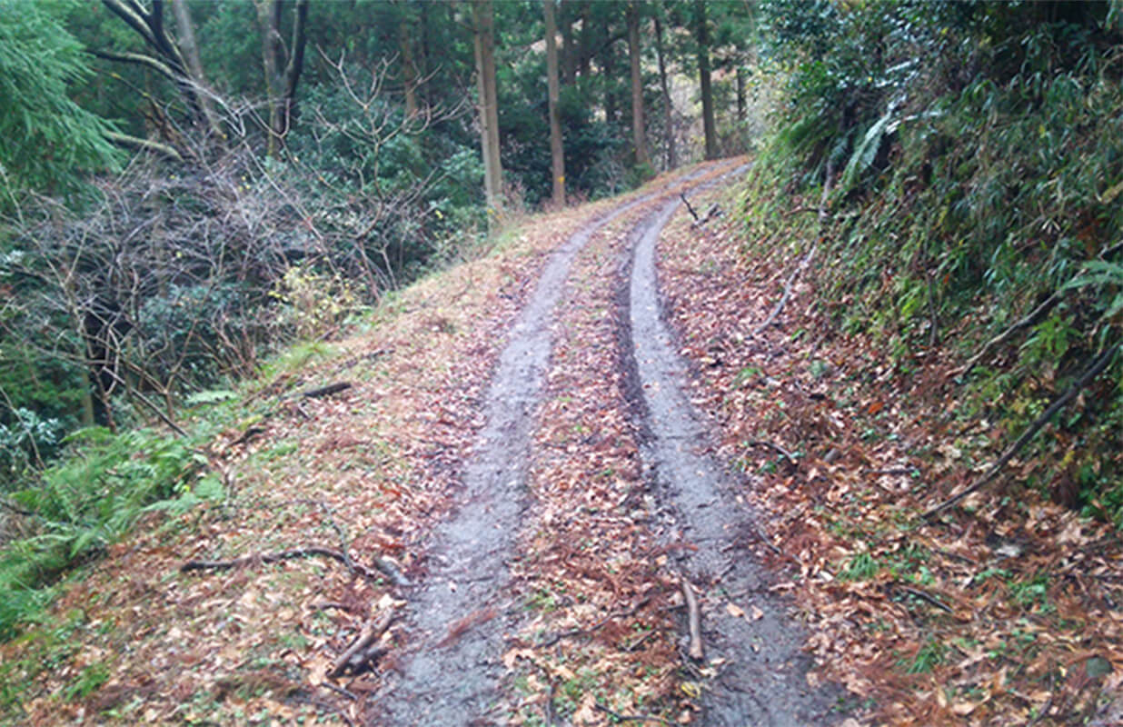 タイヤの轍が出来てしまった作業道